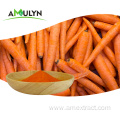 Natural Bulk Food Grade Beta Carotene Powder